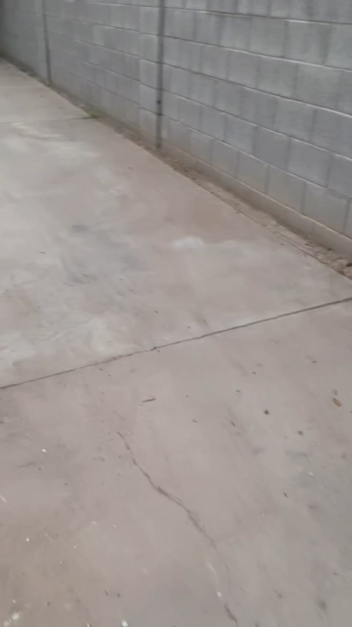 Clean concrete driveway after cleanout